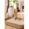 Scooples Disposable Cat & Rabbit Litter Scoops - All Natural,