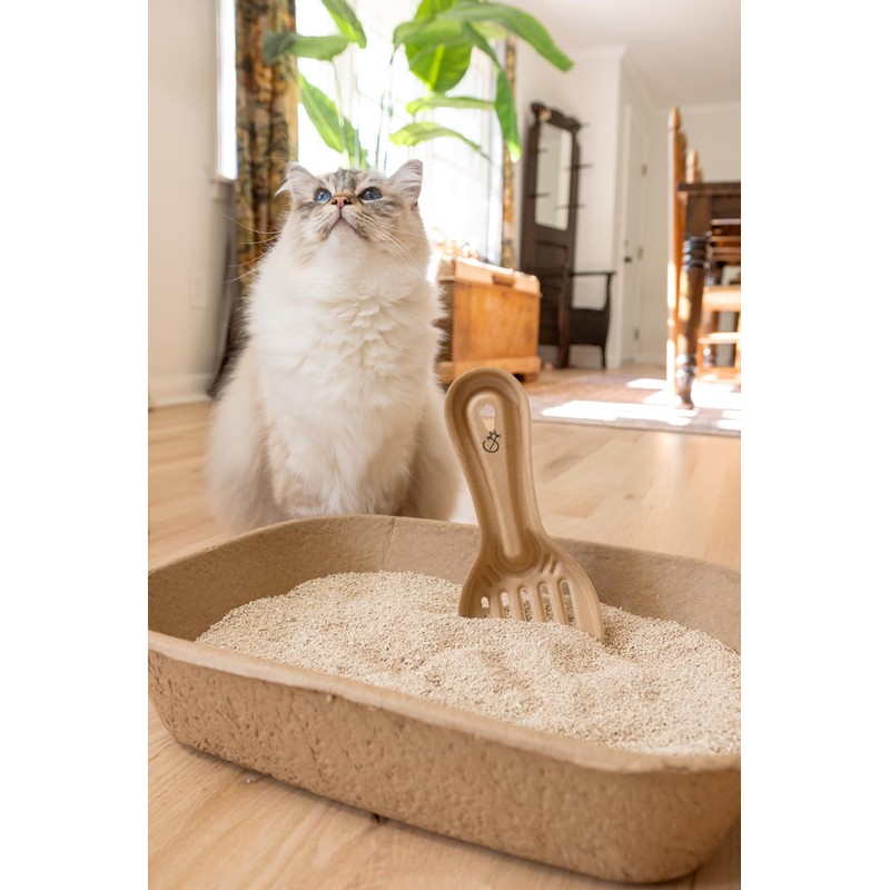Scooples Disposable Cat & Rabbit Litter Scoops - All Natural,