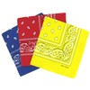 Laciteinterdite Set of 3 Paisley Bandanas for Men and Women,