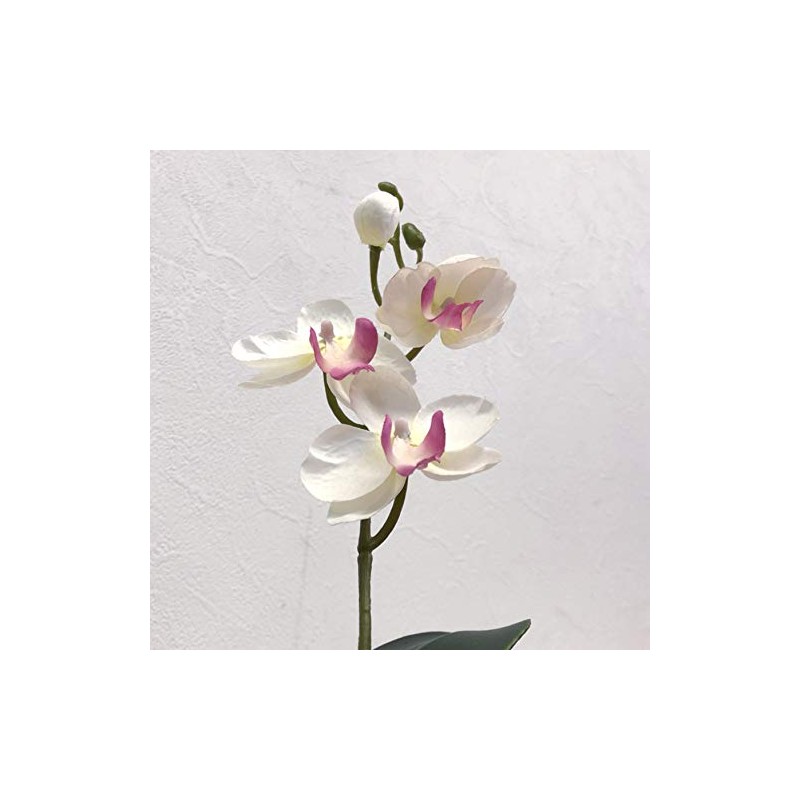 Kobe Flower Story Phalaenopsis 2018-petti-am Total Length: Approx. 11.8 inches