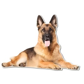 Car Sticker Belgian Malinois Car Sticker 15 cm (5.9 Inch) 3D Torn Reflective Sticker Belgian Shepherd Pet Dog Sticker Waterproof Laptop Sticker