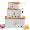 Tenforie Metal Potato Onion and Garlic Storage Tin Set of