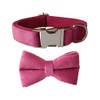 Bowtie Dog Collar, Soft & Comfy Velvet Dog Bow tie