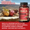 Taoters Maca Capsules - Enhances Performance & Energy, Balance Mood