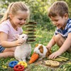Grddaef 20 PCS Bunny Chew Toys for Teeth, Natural Rabbit