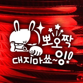 Jeje Deco Don't be shy, Keto / Beginner Driver Reflective Sticker Car Sticker / 뽀오짝 대지마쇼잉 키토 / 초보운전 반사스티커 자동차스티커