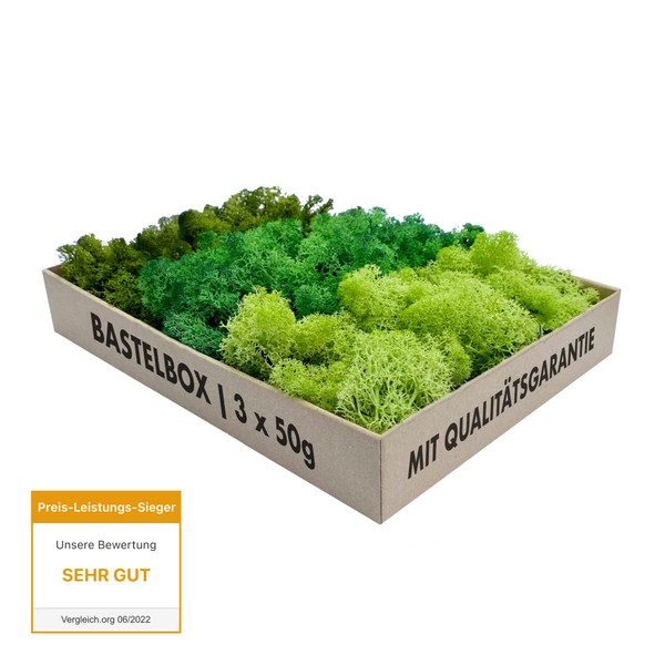 GJS Icelandic Moss Craft Box Moss in 3 Different Colours (150 g) Real Preserved Natural Moss (Iceland) for Crafts, Decorative Moss for Easter Decoration, Model Making