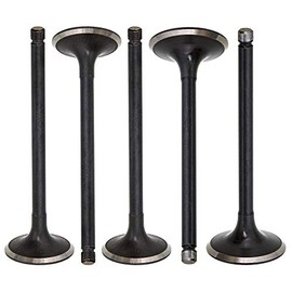 NICHE Engine Intake and Exhaust Valve Kit for 2001-2008 Yamaha Grizzly Raptor Rhino 660 660R