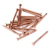 MY MIRONEY 20 Pack 1.5 Inch Copper Nails Solid Copper