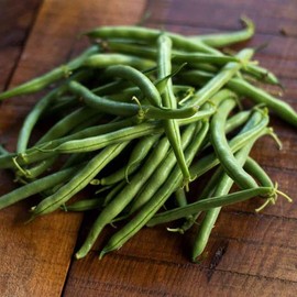 TomorrowSeeds - Improved Tendergreen Green Bean Seeds - 90+ Count - for 2025 Planting Downy Powdery Mildew Resistant Heirloom Vegetable Stringless Tender Bush String Beans Grow Your Own Home Farm