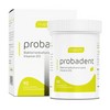 Dietary Supplement Probiotic Probiotics Tablets 30 for daily wellness routines, capsules powder or sticks, Korean Import, Option 2