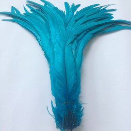 Shekyeon 16-18inch 40-45cm Rooster Coque Tail Feather for Costume Decoration Pack of 20 (Turquoise)