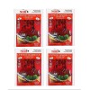 Noh Lot 4 Pack NOH Chinese Barbecue (Char Siu) Seasoning