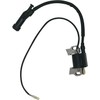 Ignition Coil Module For Cummins Onan HomeSite Power 6500 Generators
