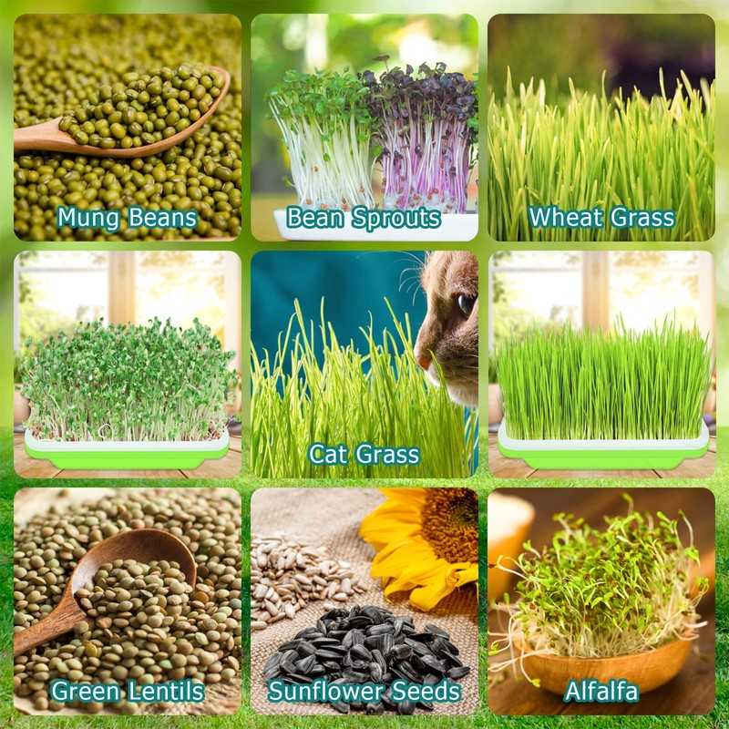 Legigo 5 Pack Seed Sprouter Trays- Soil-Free Cultivation Germination Tray,