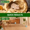 Natural Mouse Repellent Balls - Peppermint Lemon Oil 24 Pack