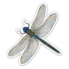 GT Graphics Express Dragonfly Realistic Pretty Insect - 5" Vinyl Sticker - for Car Laptop I-Pad - Waterproof Decal