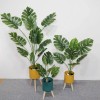 dgb18 Planta Monstera Tropical Artificial Para Decoración 75cm