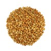 Smarty Stop Pistachio Collections (Chili, 2 Pound (Pack of 1))