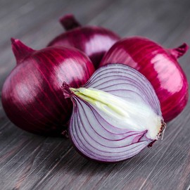 Eden Brothers Onion Seeds (Long Day) - Ruby Red