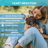 RiRywony Yeast Infection Treatment for Dogs - 60ml Natural Herbal