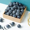 Rikyo 50 Blueberries Artificial Fruits, Realistic Lifelike Blue Foam Fruits,