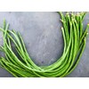 100+ Seeds Snake Oriental Yard Long Pole Bean Seed for
