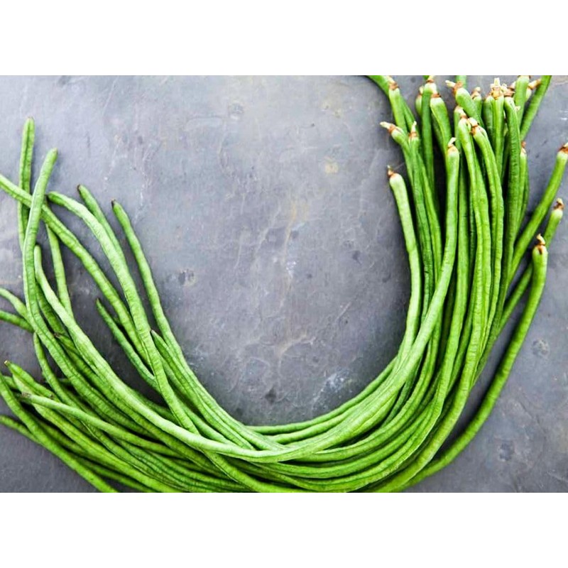 100+ Seeds Snake Oriental Yard Long Pole Bean Seed for