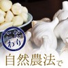 【山口県産にんにく×岡山県産のこだわり卵黄】毎日健康！「にんにく卵黄 サプリメント」 国内産自然農法ニンニク使用 自然養鶏の卵黄を贅沢に使用（約90日分 410mg×180粒）