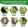 Automatic Bird Cage Water Dispenser - Cactus No-Spill Feeder for