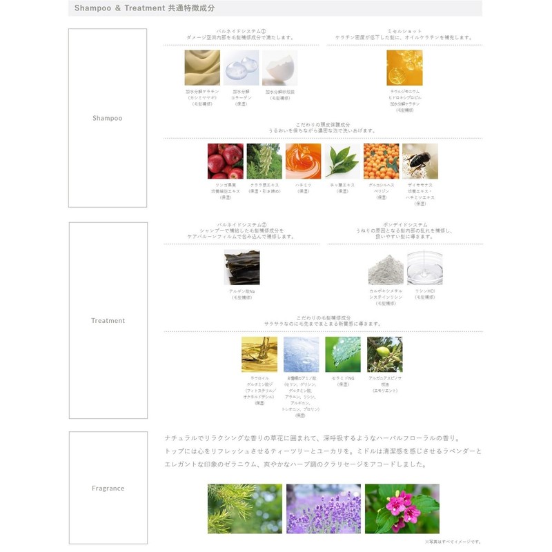 Demi Flowdia Shampoo, Grandmerrow, 8.5 fl oz (250 ml)