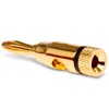 NAUC Banana Plug Banana Plug 24K Gold-Plated Screwable 4 Pieces