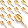 Roshtia 12 Pcs Gold Ice Scoops Stainless Steel Mini Scoop