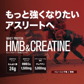 DNS プロテイン ホエイプロテイン HMB&クレアチン(HC) ビターチョコレート風味 35g×10袋 HMB クレアチン 配合 水で飲める 筋トレ 個包装