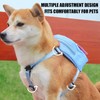 Backpack for Dogs | Small Dog Backpack - Puppy School
