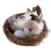 GOUDOGEDC 2 Set Simulation Bird Nest with Bird and Eggs