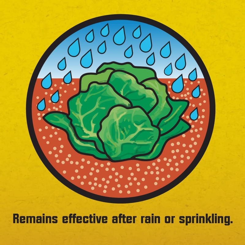 Corry's Slug and Snail Killer 1.75 Pound Box