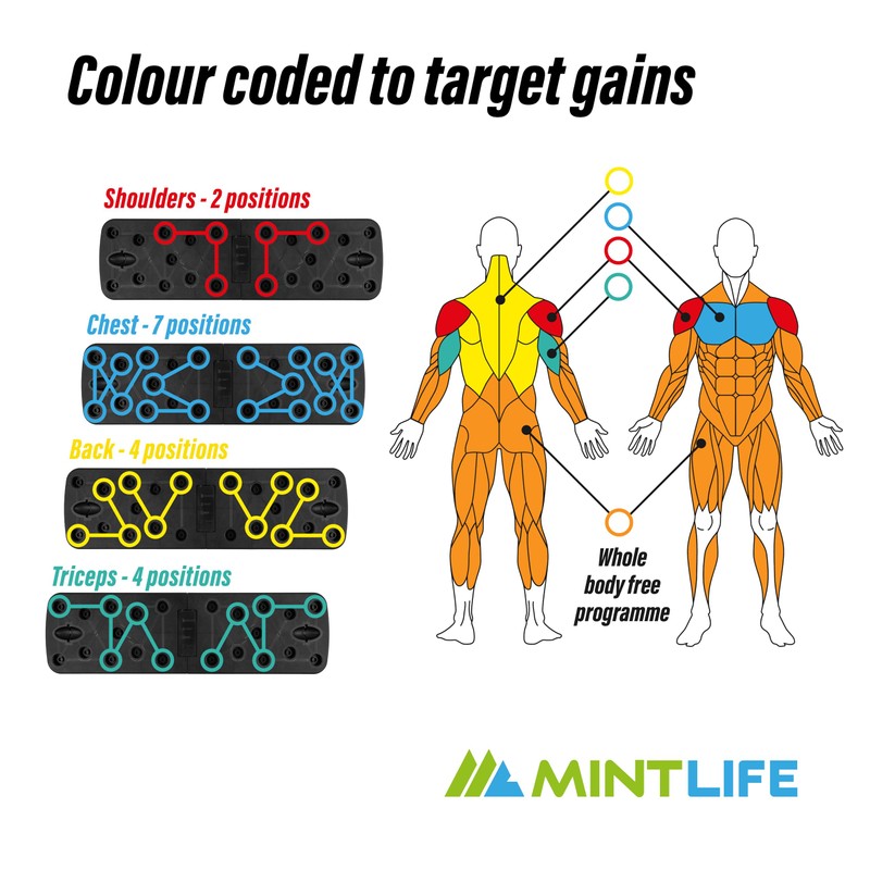 Mintlife© Pushup Board For Men & Women + FREE 30-Week