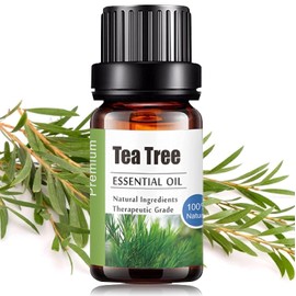Aceites Esenciales de Arbol de Té Aromaterapia - Natural 100% de Aceite Esencial Natural Conjunto de Difusores y Humidificadores con Caja de Regalo Exquisita (UVa Natural, 10 ML) (Arbol de Té)