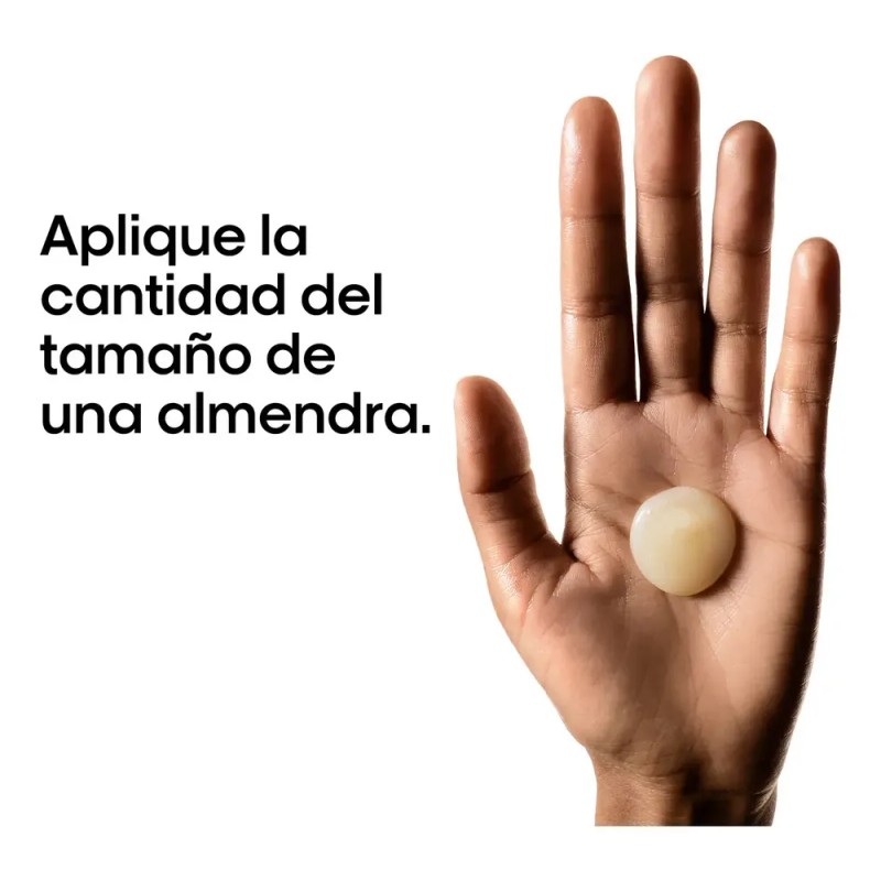 Shampoo L'Oréal Pro Absolut Repair Cabello Muy Dañado 300 ml