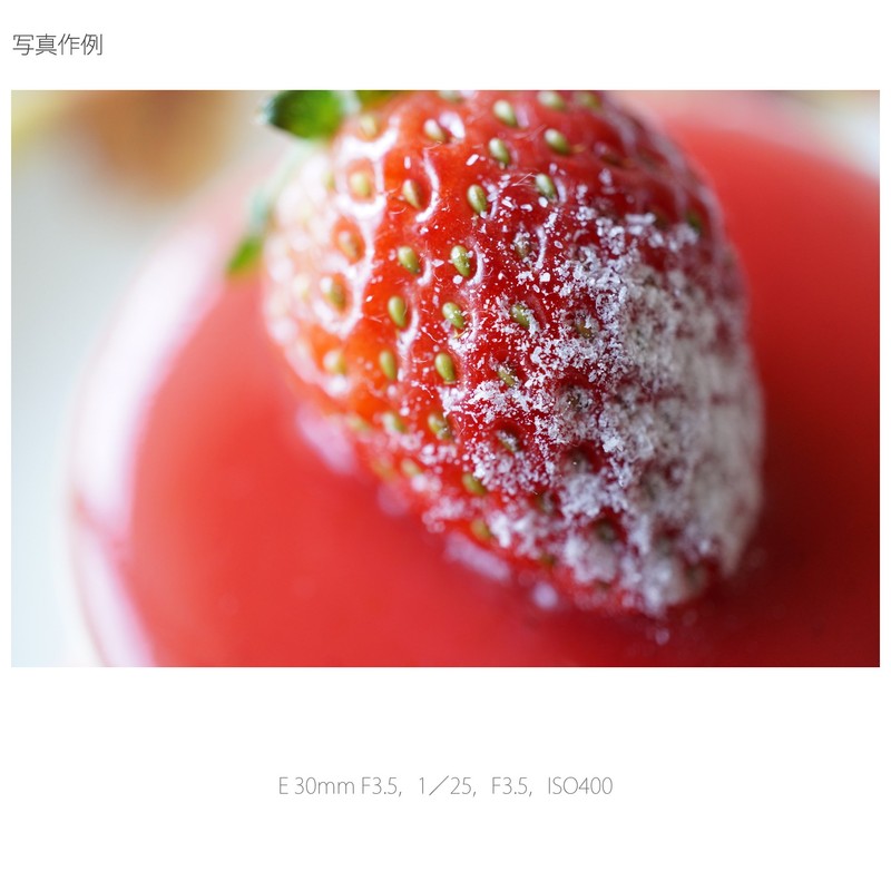 Sony SEL30M35 MILC Macro lens Silver Camera Lense