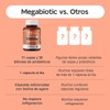 MegaBiotic Probióticos 20 Billones, 11 Cepas, Prebióticos, Inulina, Sábila, 45