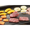 Barbecue Tongs 3072010