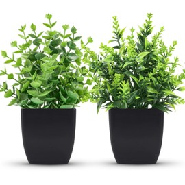 ZJIA 2 Pack Small Fake Plants Black Bathroom Accessories for Home Bedroom Bathroom Kitchen Decor | ZJIA
