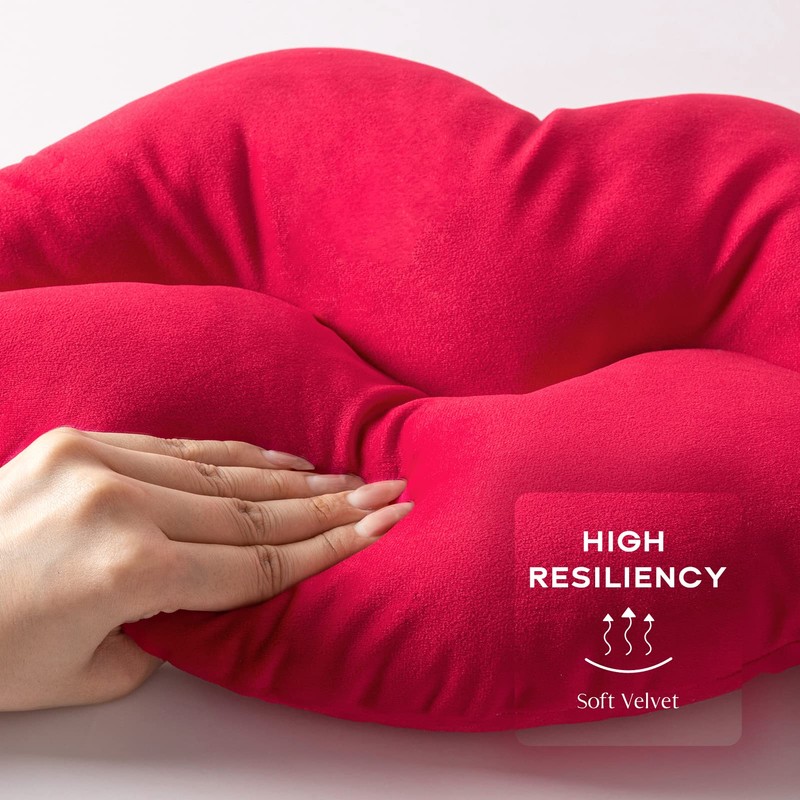 Ashler Lips Throw Pillows Smooth Soft Velvet Insert Included, Lip