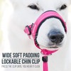 GoodBoy Dog Head Halter with Safety Strap - Stops Heavy