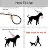 Durable Slip Lead Dog Leash for Training 6 Ft X