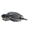 CollectA Leatherback Sea Turtle