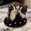 Ceramic Salt and Pepper Shaker Set with Cat Motif (Black