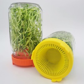 Sprouting Lids, Bean Screen Plastic Sprouting Lids for Wide Mouth Jars – Grow Bean Sprouts, Alfalfa, Salad Sprouts and More 5 Colors for Choose